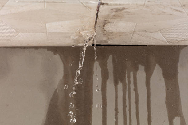 Professional Structural Drying technician working in Cadet, MO